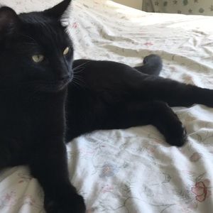 Meet your Posher, Tylor